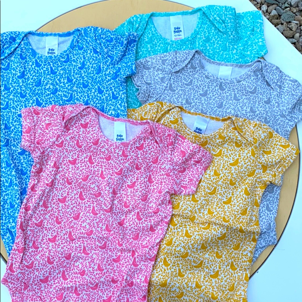 Baby Boden chick cheep boc boc tweet bird